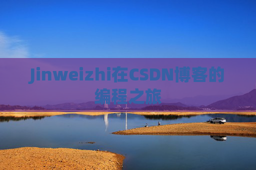 Jinweizhi在CSDN博客的编程之旅